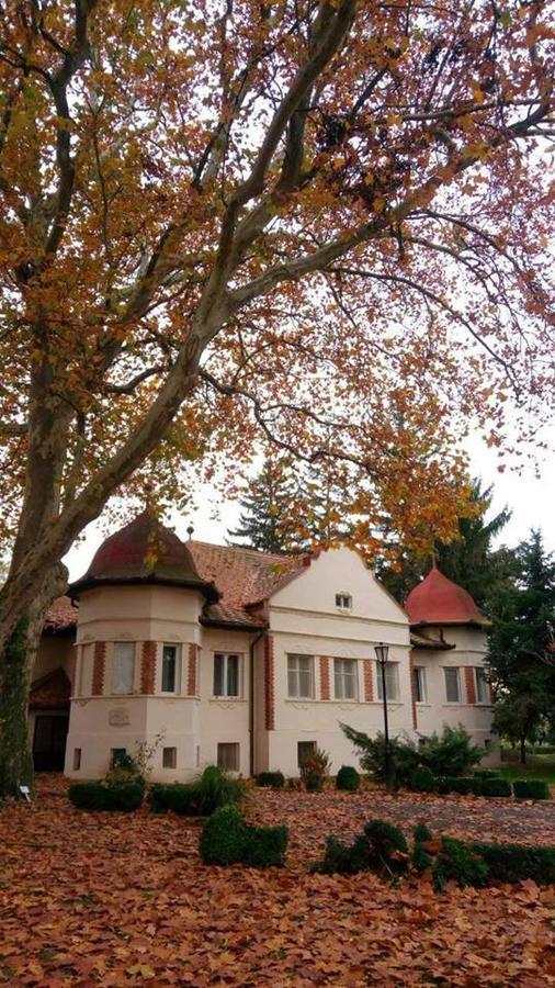 Bed and Breakfast Kastelyszallo Матесалька Екстер'єр фото